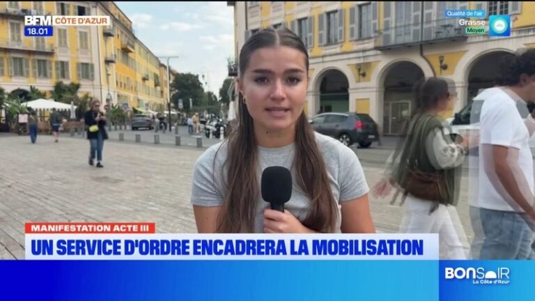 Manifestation – Acte III : un service d’ordre encadrera la mobilisation.