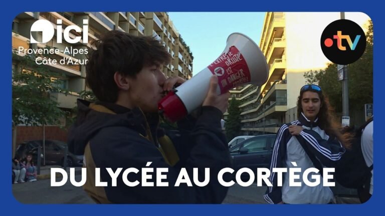 Manifestation du 13 octobre, acte V : portrait d&rsquo;un lycéen très organisé et mobilisé