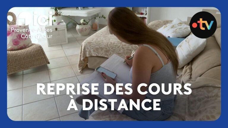 Mouvement des lycéens : reprise des cours à distance pour certains lycées