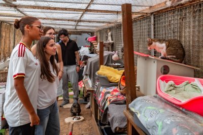 Politique – À Cannes, les jeunes élus découvrent les enjeux de la protection animale