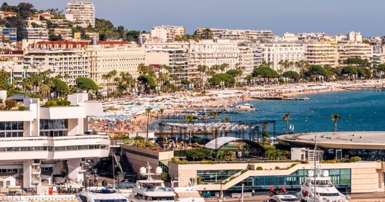 Que faire à Mouans-Sartoux, Cagnes sur Mer, St Martin Vésubie ou Cannes (entre autres) du 19 au 25 octobre 2026 ?