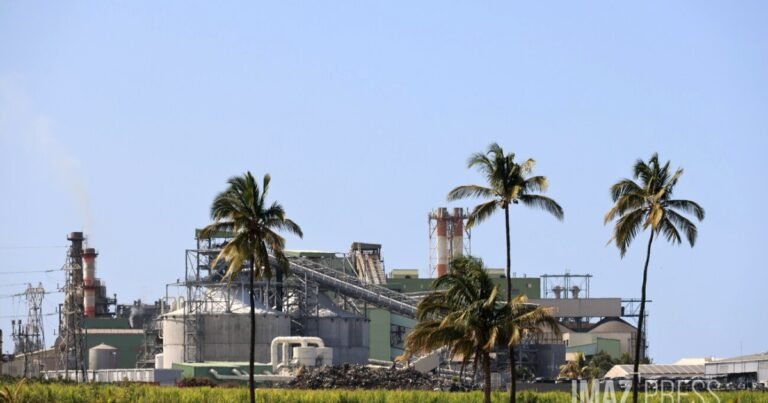 Saint-Louis : pas de réception de cannes à l&rsquo;usine du Gol après un incident technique
