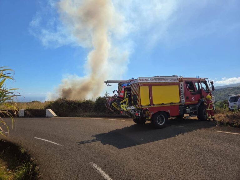 Saint-Pierre : le Dash 8 mobilisé sur un feu de cannes
