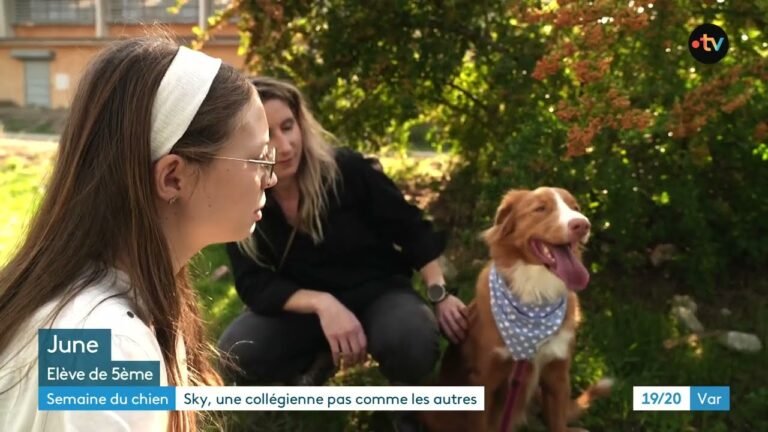 Sky, la petite chienne qui apaise et accompagne des collégiens