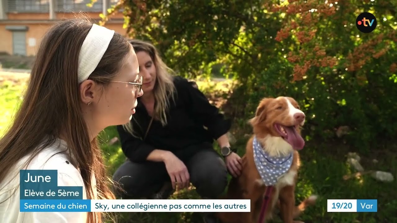 Sky, la petite chienne qui apaise et accompagne des collégiens