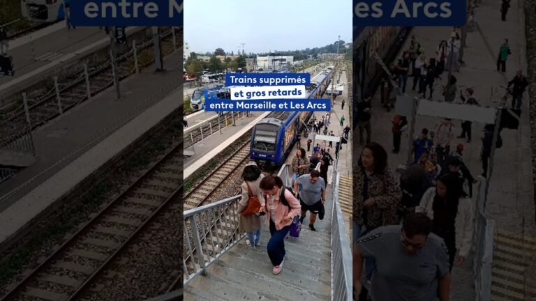 Trains supprimés et gros retards entre Marseille et Les Arcs