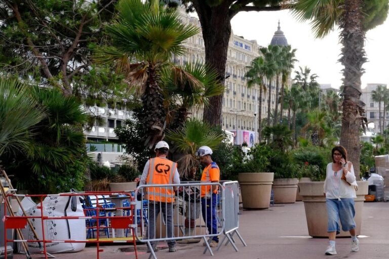 Travaux d’envergure de la Croisette à Cannes : mobilier urbain, palmiers, plan de circulation… ce qui va changer à partir du 19 octobre