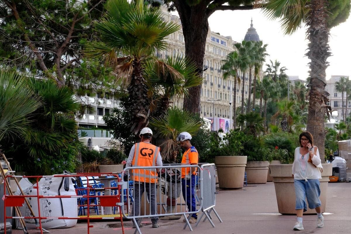 Travaux d’envergure de la Croisette à Cannes : mobilier urbain, palmiers, plan de circulation… ce qui va changer à partir du 19 octobre