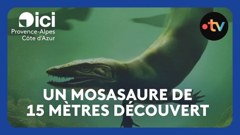 Un prédateur préhistorique découvert près d’Aix-en-Provence : un mosasaure de 15 mètres