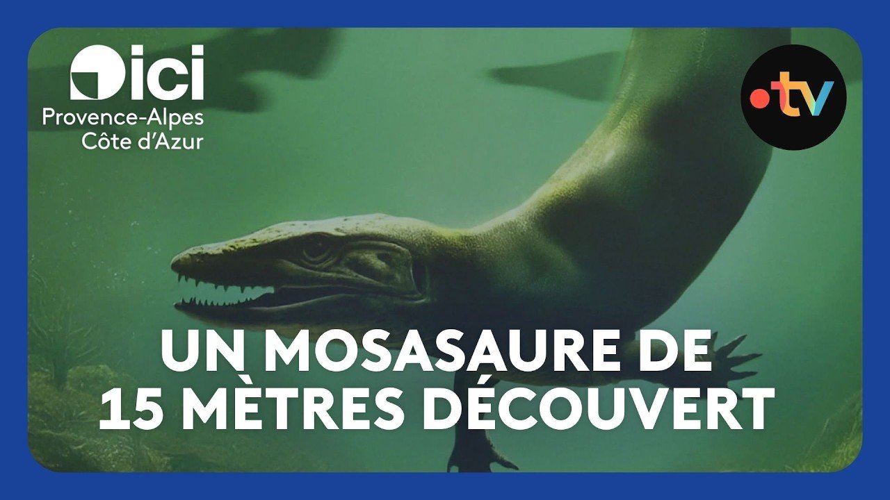 Un prédateur préhistorique découvert près d’Aix-en-Provence : un mosasaure de 15 mètres